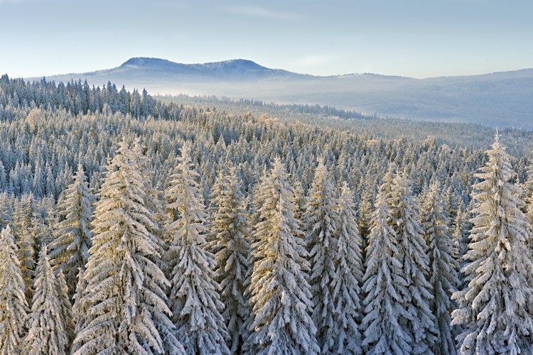 Šumava 2010