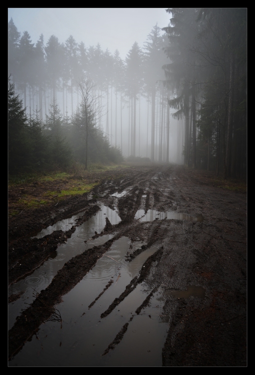 Pozdní melanchologie podzimu II.