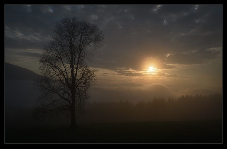 ŠUMAVA III.2014