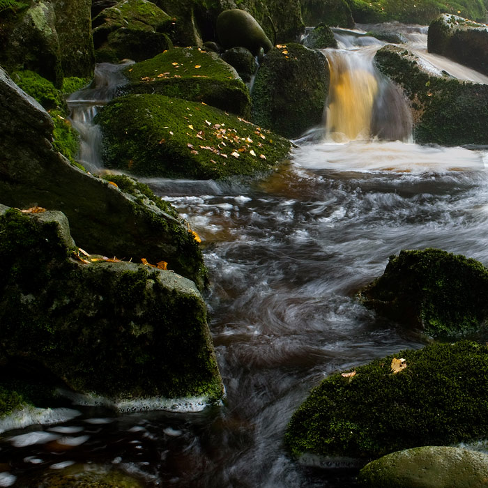 Šumava_Vydra