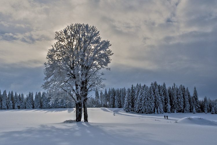 Šumava 2013