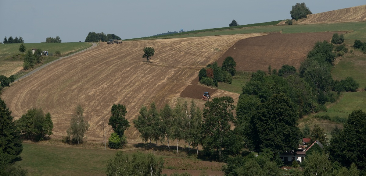 Roženeckou pasekou.