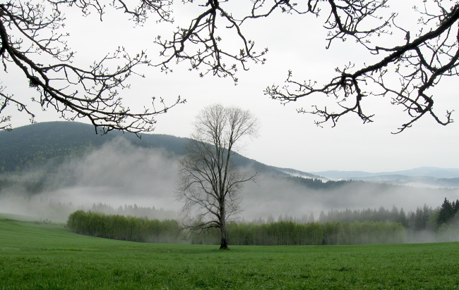 šumava