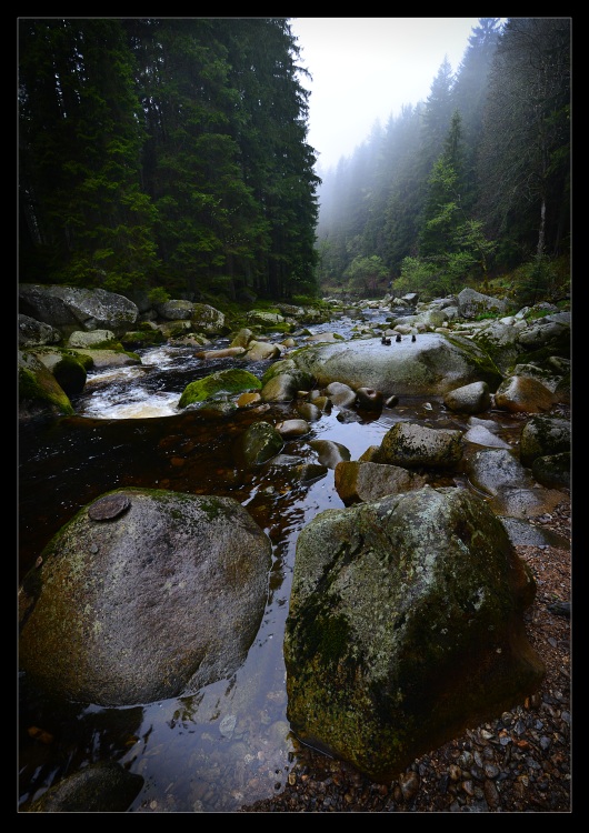 ŠUMAVA II.2014