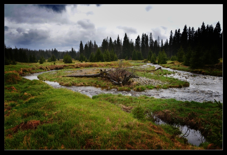 Šumava 2013 III.