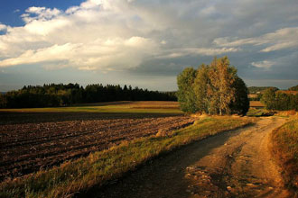 Vysočina