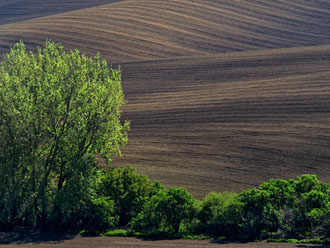 Jaro u Svatobořic